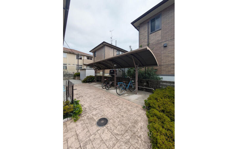thumbnail_original_large_18089702