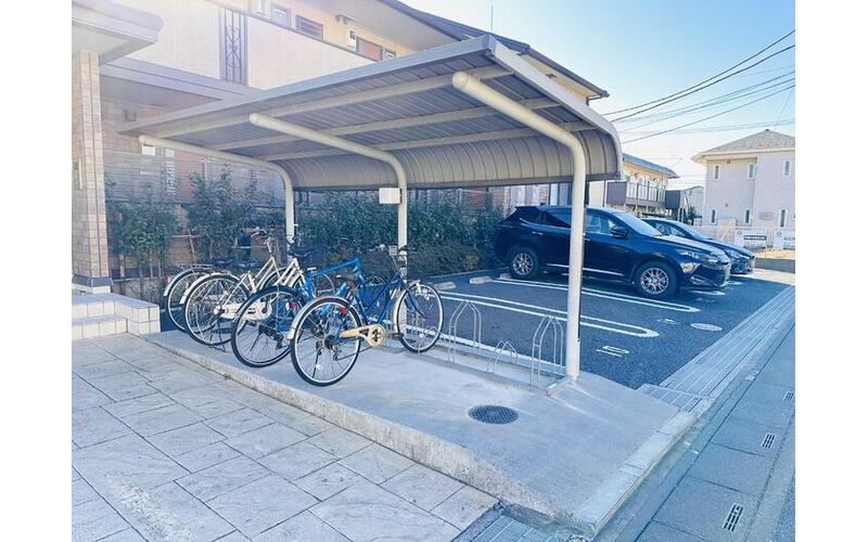 thumbnail_original_large_16686823