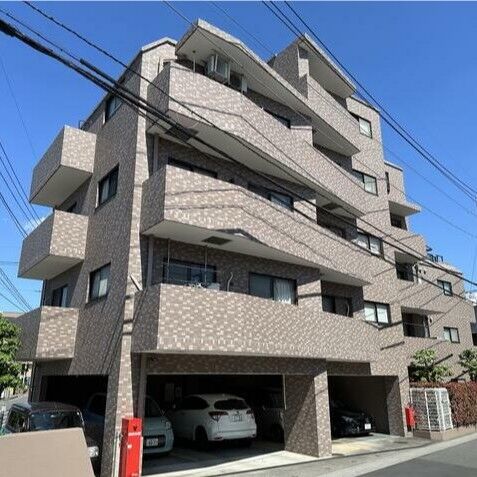 スクリーンショット 2024-11-26 1125470